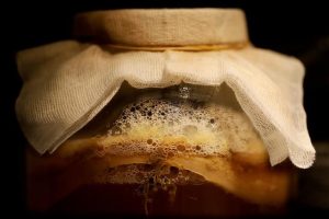 How Fermented Ingredients Are Changing Kozmetika