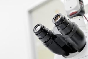 The Future of Kozmetika: Where Science Sparks Innovation