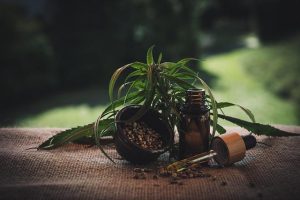 How CBD Is Being Used in Modern Kozmetika Today