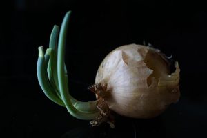 Guide: Top Kozmetika Ingredients for Healthy Hair Growth