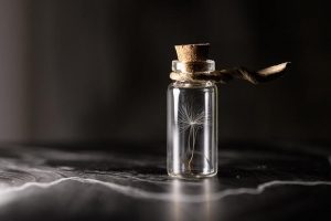 How Kozmetika Preservatives Keep Your Products Safe