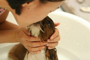 Personalized Kozmetika for Men’s Grooming Needs