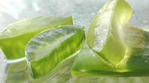 Aloe Vera Benefits for Your Kozmetika Routine