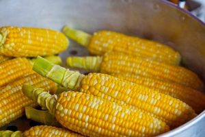 Fresh Finds: Ingredients Shaping Kozmetika’s Future