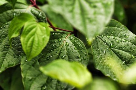 Why Hydration Matters in Kozmetika Skincare